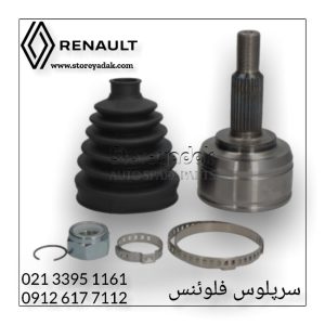 سرپلوس فلوئنس